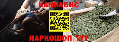 крисы Кунгур