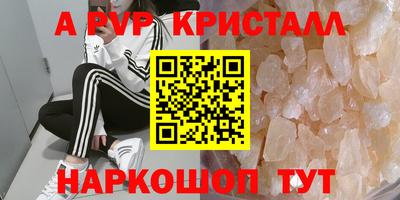 крисы Кунгур