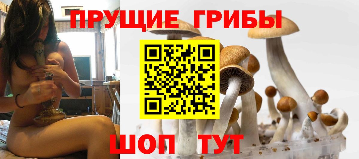 Карпинск  Псилоцибиновые грибы мухоморы  Галлюциногенные грибы MAGIC MUSHROOMS  Вход с VPN 
